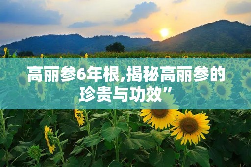 高丽参6年根,揭秘高丽参的珍贵与功效”