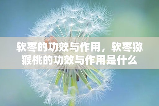 软枣的功效与作用，软枣猕猴桃的功效与作用是什么