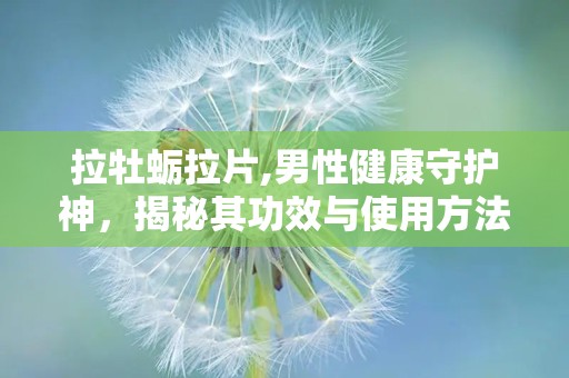 拉牡蛎拉片,男性健康守护神，揭秘其功效与使用方法”