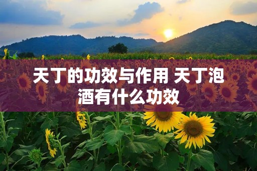 天丁的功效与作用 天丁泡酒有什么功效
