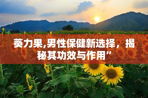 葵力果,男性保健新选择，揭秘其功效与作用”