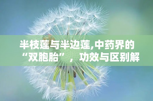 半枝莲与半边莲,中药界的“双胞胎”，功效与区别解析