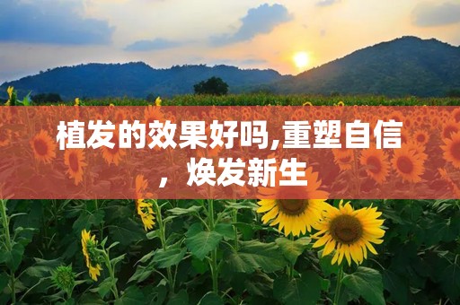 植发的效果好吗,重塑自信，焕发新生