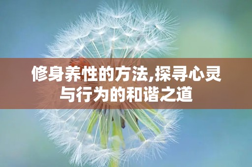 修身养性的方法,探寻心灵与行为的和谐之道