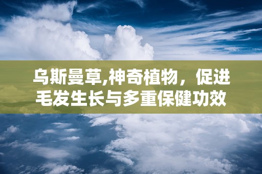 乌斯曼草,神奇植物，促进毛发生长与多重保健功效
