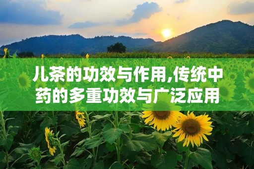 儿茶的功效与作用,传统中药的多重功效与广泛应用
