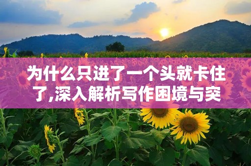 为什么只进了一个头就卡住了,深入解析写作困境与突破之道”