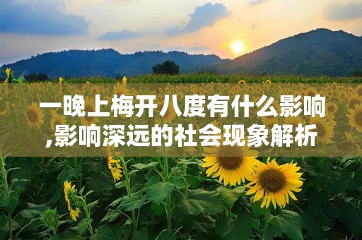 一晚上梅开八度有什么影响,影响深远的社会现象解析