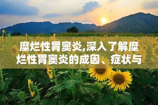 糜烂性胃窦炎,深入了解糜烂性胃窦炎的成因、症状与防治策略”