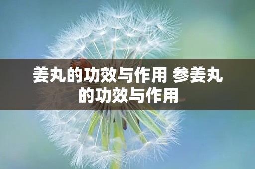 姜丸的功效与作用 参姜丸的功效与作用