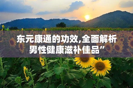 东元康通的功效,全面解析男性健康滋补佳品”