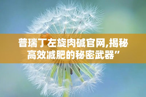 普瑞丁左旋肉碱官网,揭秘高效减肥的秘密武器”