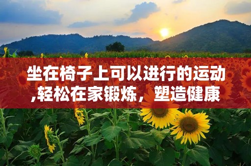 坐在椅子上可以进行的运动,轻松在家锻炼，塑造健康体态