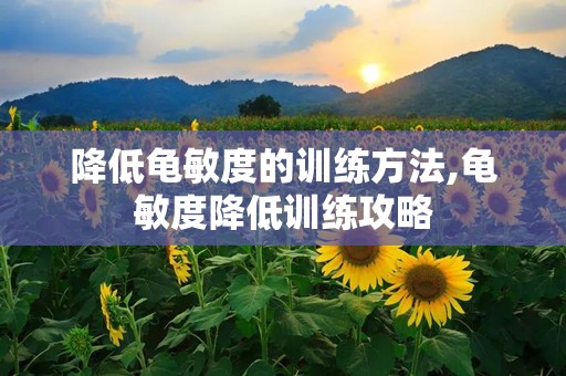 降低龟敏度的训练方法,龟敏度降低训练攻略
