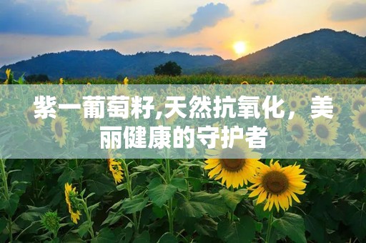 紫一葡萄籽,天然抗氧化，美丽健康的守护者