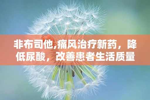 非布司他,痛风治疗新药，降低尿酸，改善患者生活质量