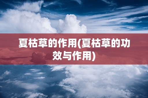 夏枯草的作用(夏枯草的功效与作用)