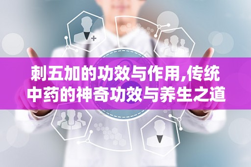 刺五加的功效与作用,传统中药的神奇功效与养生之道