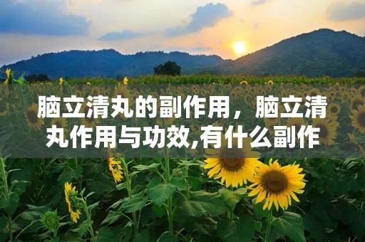 脑立清丸的副作用，脑立清丸作用与功效,有什么副作用