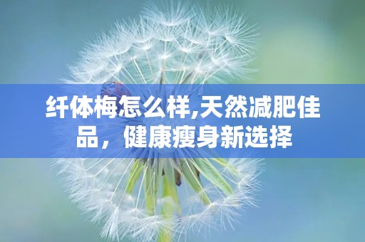 纤体梅怎么样,天然减肥佳品，健康瘦身新选择