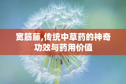 宽筋藤,传统中草药的神奇功效与药用价值