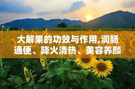 大解果的功效与作用,润肠通便、降火清热、美容养颜的天然良药