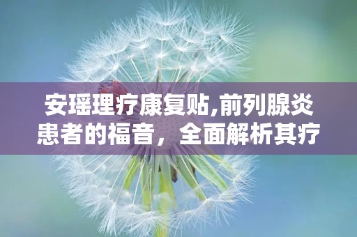 安瑶理疗康复贴,前列腺炎患者的福音，全面解析其疗效与使用方法”