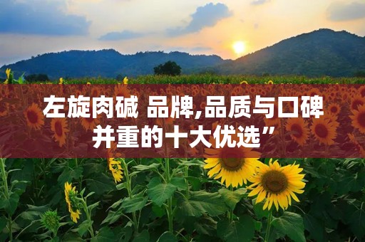 左旋肉碱 品牌,品质与口碑并重的十大优选”