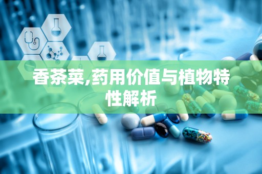 香茶菜,药用价值与植物特性解析