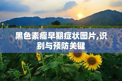 黑色素瘤早期症状图片,识别与预防关键