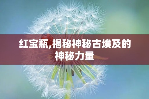 红宝瓶,揭秘神秘古埃及的神秘力量