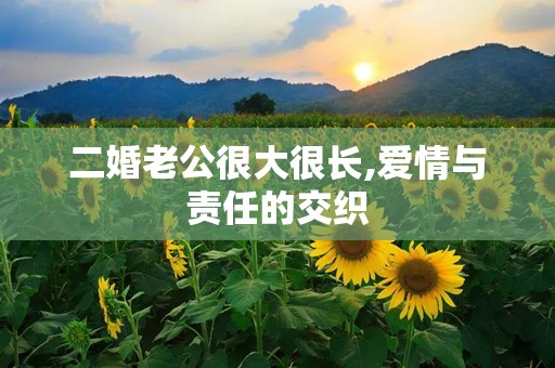 二婚老公很大很长,爱情与责任的交织