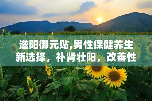 滋阳御元贴,男性保健养生新选择，补肾壮阳，改善性功能