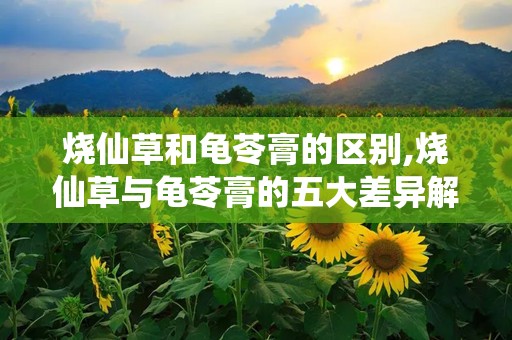 烧仙草和龟苓膏的区别,烧仙草与龟苓膏的五大差异解析”
