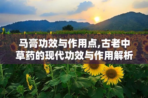 马膏功效与作用点,古老中草药的现代功效与作用解析