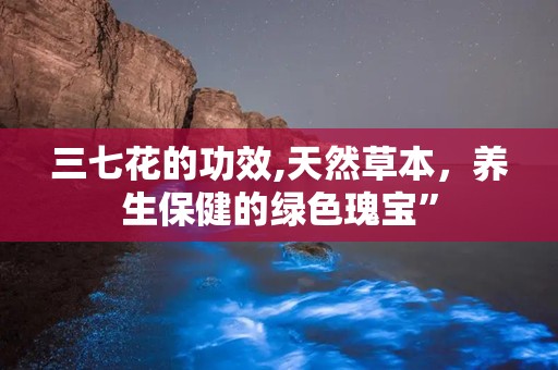 三七花的功效,天然草本，养生保健的绿色瑰宝”
