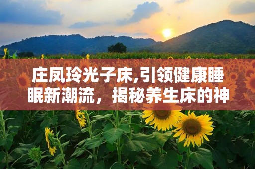 庄凤玲光子床,引领健康睡眠新潮流，揭秘养生床的神奇功效与价格解析”