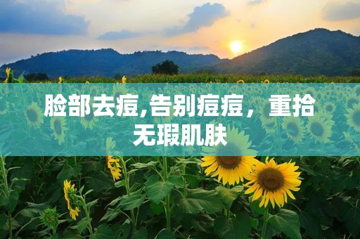 脸部去痘,告别痘痘，重拾无瑕肌肤