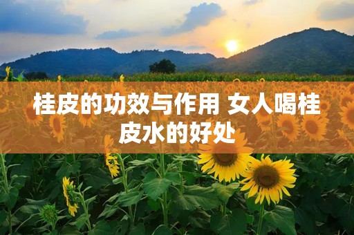 桂皮的功效与作用 女人喝桂皮水的好处