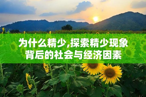 为什么精少,探索精少现象背后的社会与经济因素