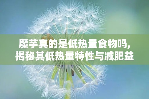 魔芋真的是低热量食物吗,揭秘其低热量特性与减肥益处