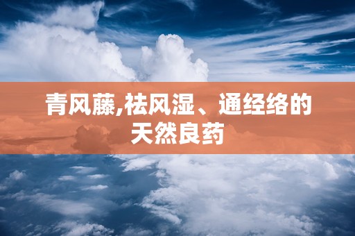 青风藤,祛风湿、通经络的天然良药