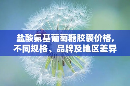 盐酸氨基葡萄糖胶囊价格,不同规格、品牌及地区差异一览