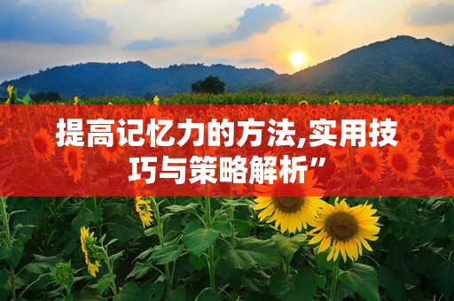提高记忆力的方法,实用技巧与策略解析”