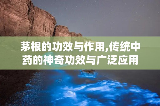 茅根的功效与作用,传统中药的神奇功效与广泛应用