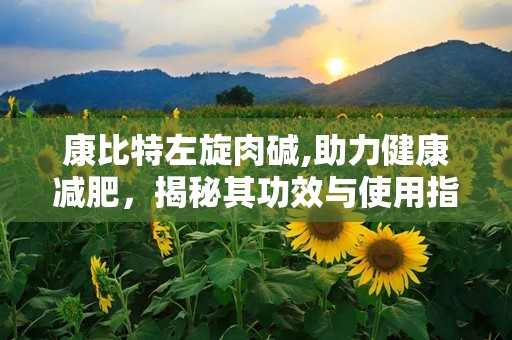 康比特左旋肉碱,助力健康减肥，揭秘其功效与使用指南”