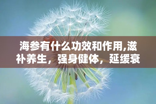 海参有什么功效和作用,滋补养生，强身健体，延缓衰老的海洋珍品