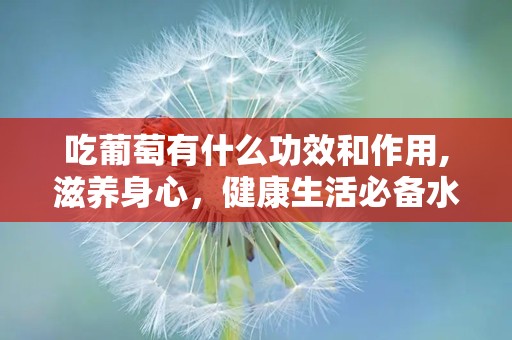 吃葡萄有什么功效和作用,滋养身心，健康生活必备水果
