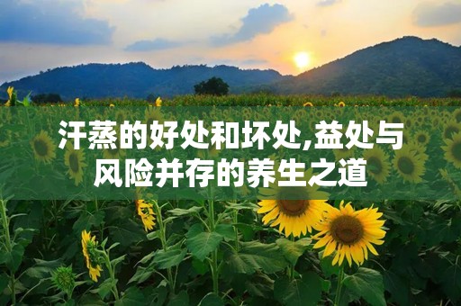 汗蒸的好处和坏处,益处与风险并存的养生之道