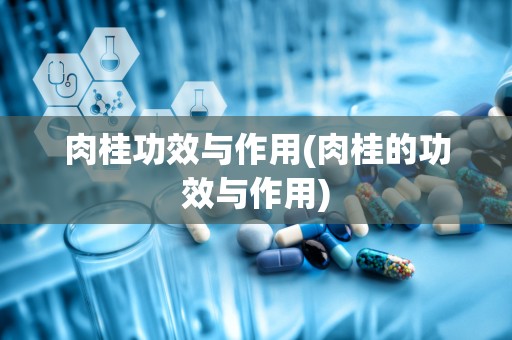 肉桂功效与作用(肉桂的功效与作用)